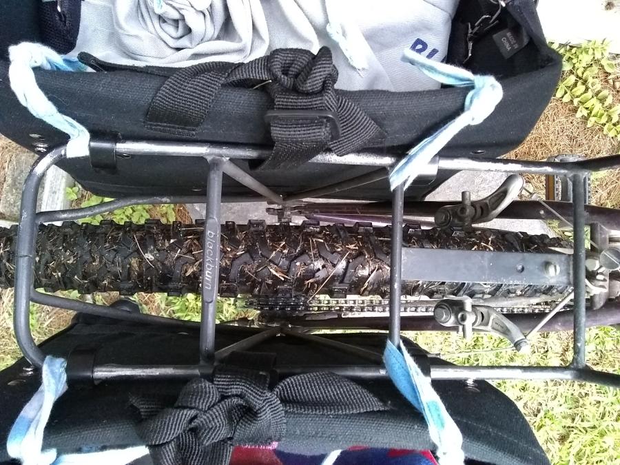 Top view of back rack of bike showing straps attaching panniers to bike