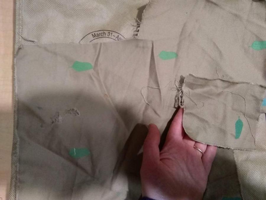 beige fabric scraps with monarch chrysalis silk screen printed on them